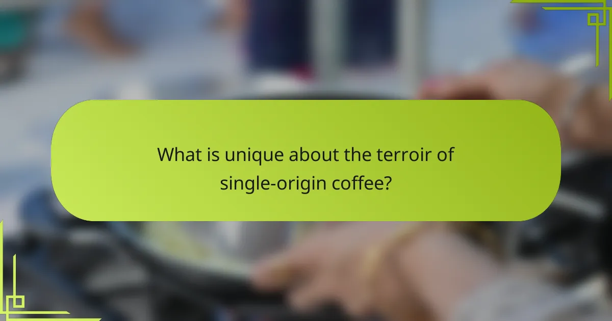 What is unique about the terroir of single-origin coffee?